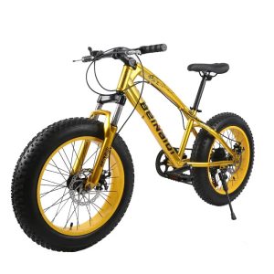 Beinaiqi 20" Kids' Fat Tire Mountain Bike – The Ultimate All-Terrain Sport Bike