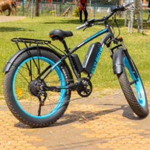 Eco Bikes