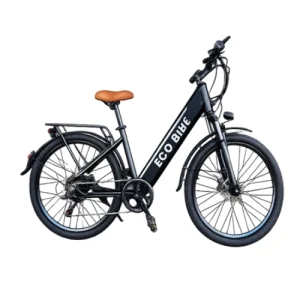 Eco Bikes
