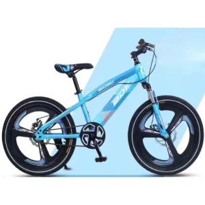 Eco Bikes