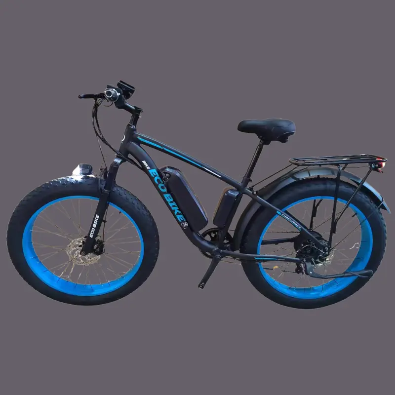 Eco Bikes