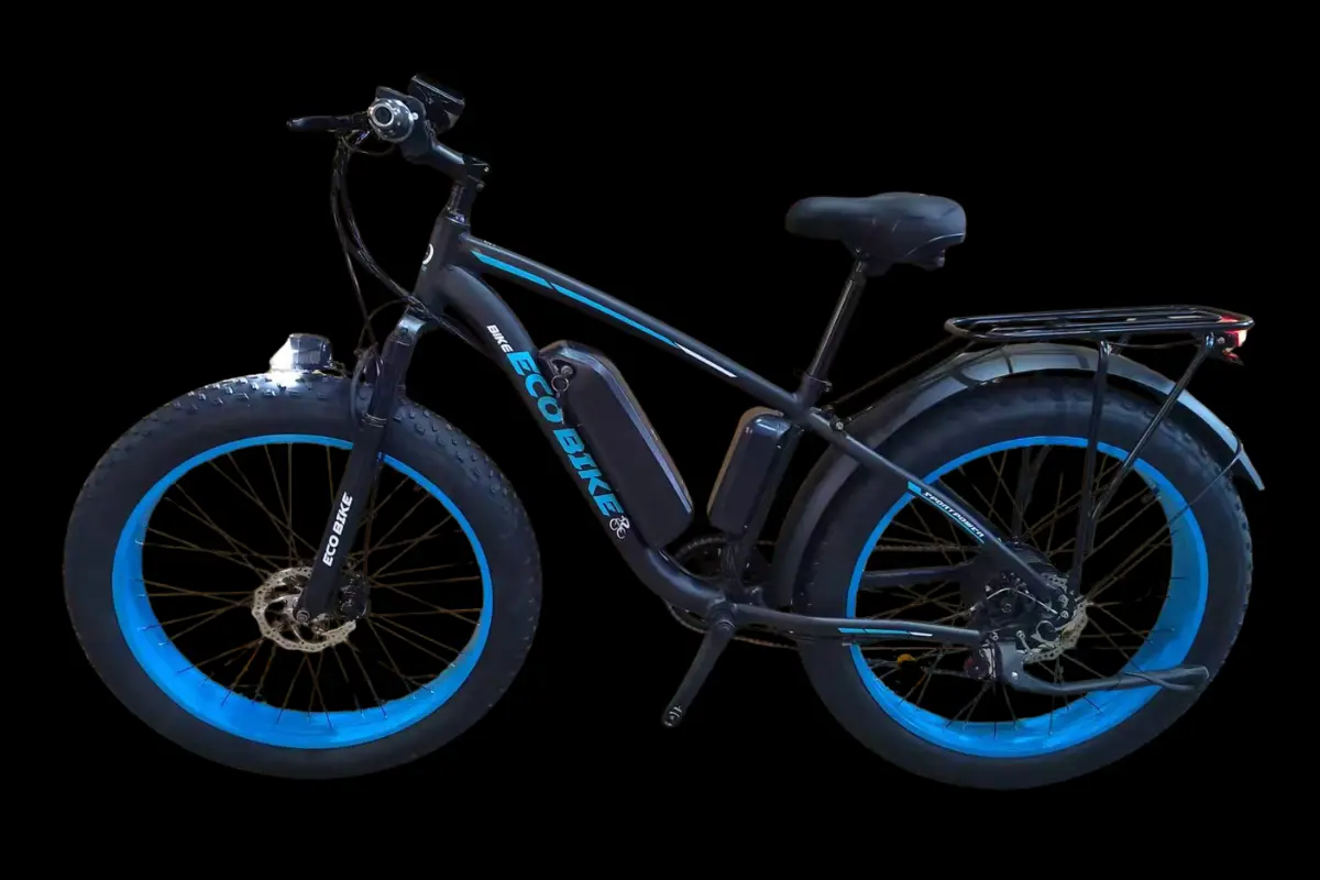 Eco Bikes